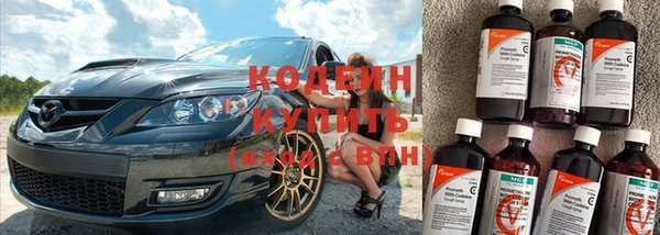 крисы Абаза