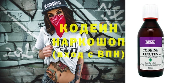крисы Абаза