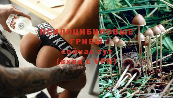 мяу мяу мука Алзамай