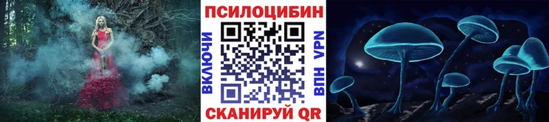 нарко площадка официальный сайт  где купить наркотик  Пучеж  Галлюциногенные грибы Psilocybe 